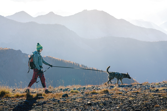 Okanogan-Wenatchee National Forest
