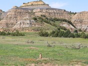 Theodore Roosevelt National Park