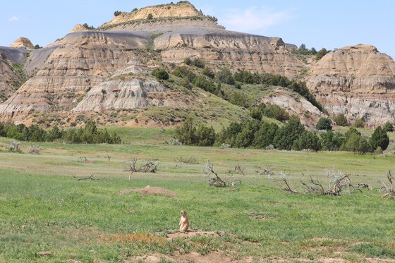 Theodore Roosevelt National Park