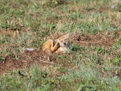 Great Smoky Mountains National Park