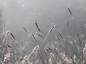 Great Smoky Mountains National Park