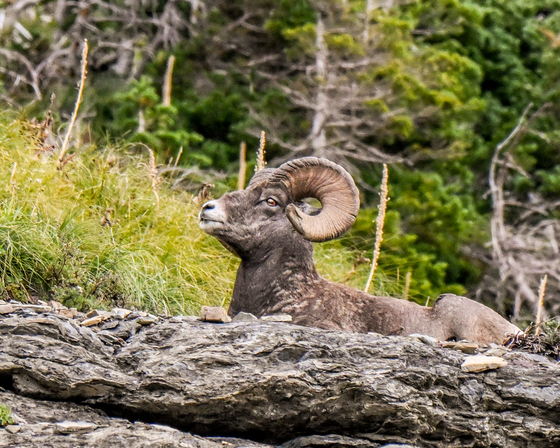 Glacier National Park