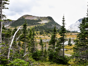 Glacier National Park