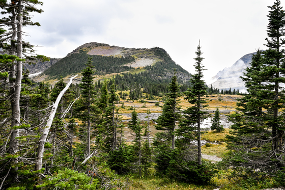 Glacier National Park