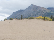 carcross desert