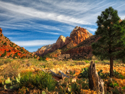 Zion National Park