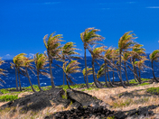 Hawaii Volcanoes national Park