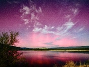 Tonto National Forest