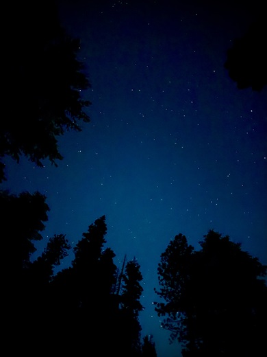 Yosemite National Park 