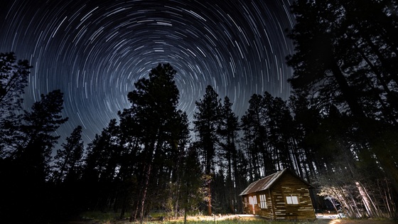 Coconino National Forest