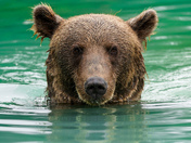 Lake Clark National Park