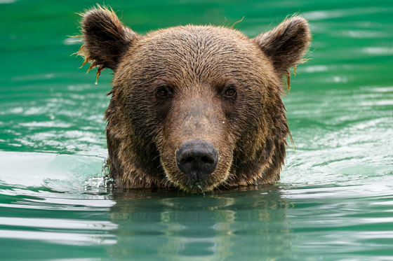 Lake Clark National Park