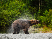 Lake Clark National Park
