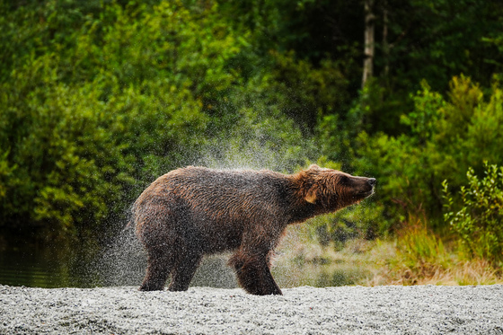 Lake Clark National Park