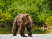Lake Clark National Park 
