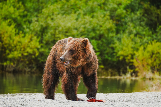 Lake Clark National Park 