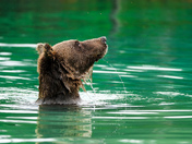 Lake Clark National Park 