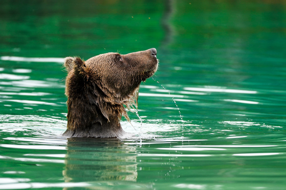 Lake Clark National Park 