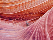 Paria Canyon-Vermilion Cliffs Wilderness