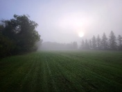 Mist Over the Prairie
