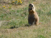 Devils Tower National Monument