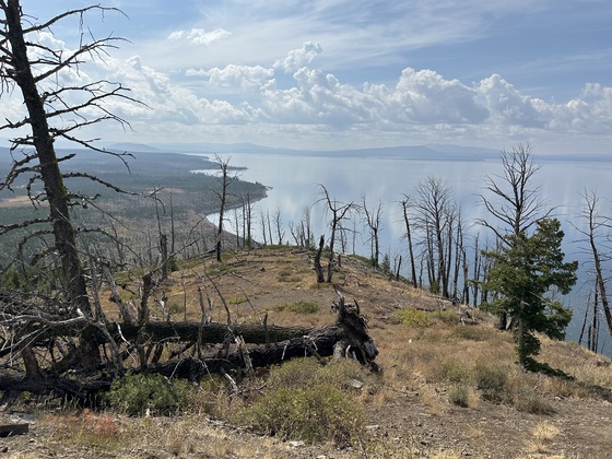 Yellowstone National Park