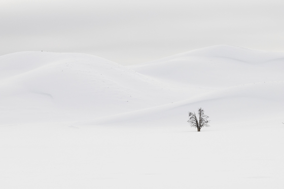 Yellowstone National Park