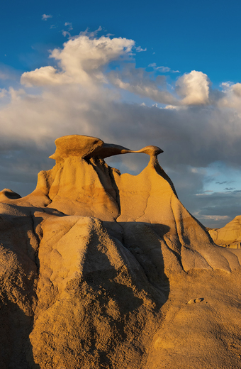 Bisti Wilderness