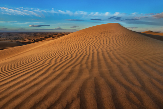 Imperial Sand Dunes Recreation Area
