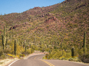 Saguaro National Park West