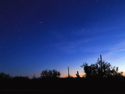 Saguaro National Park West