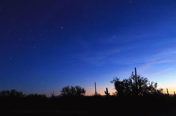 Saguaro National Park West