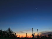 Saguaro National Park West