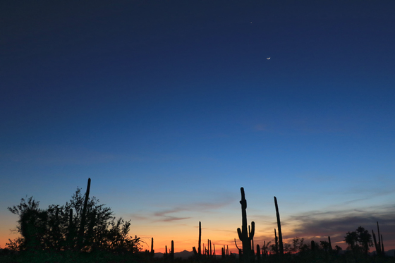 Saguaro National Park West