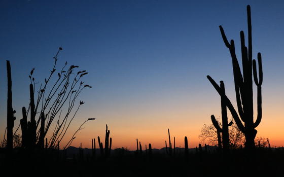 Saguaro National Park West