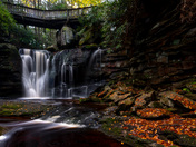 Monongahela National Forest