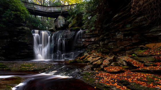 Monongahela National Forest