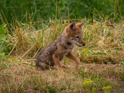Boston Harbor Islands National Recreation Area