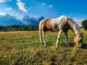 Grand Teton National Park
