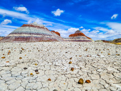 Petrified Forest National Park