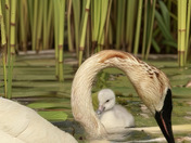 Sherburne National Wildlife Refuge