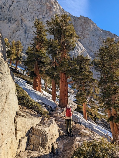 Inyo National Forest