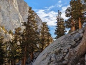 Inyo National Forest