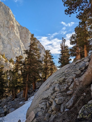Inyo National Forest