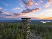 Medicine Bow National Forest