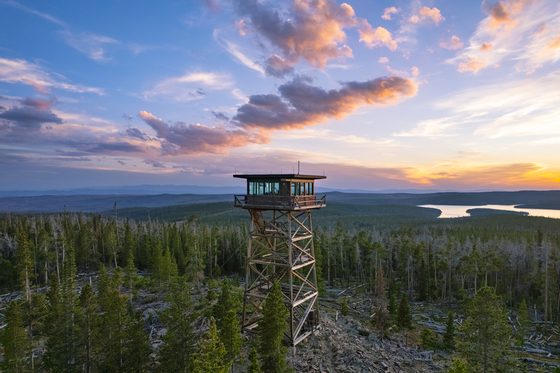 Medicine Bow National Forest