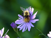 Sherburne National Wildlife Refuge