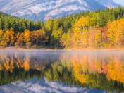 Reflections of Autumn at Wedge Pond