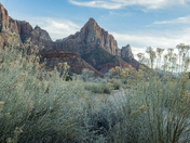 Zion National Park