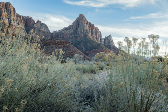 Zion National Park